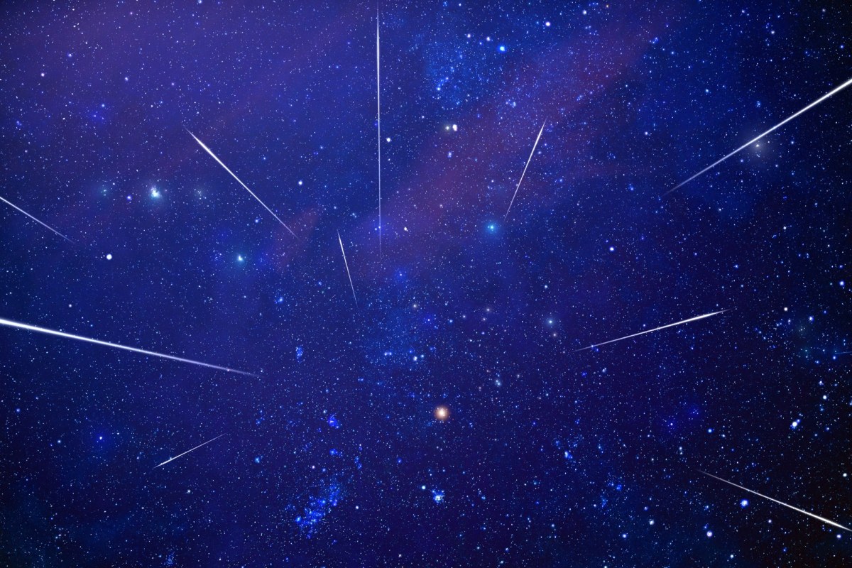 Perséides 2026 : quand a lieu le pic et comment voir les étoiles filantes